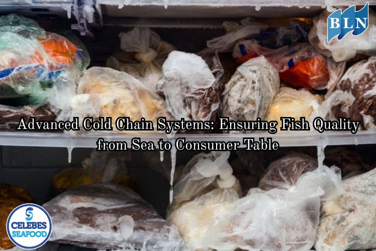 Advanced Cold Chain Systems: Ensuring Fish Quality from Sea to Consumer Table